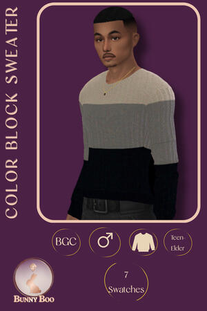 Color Block Sweater