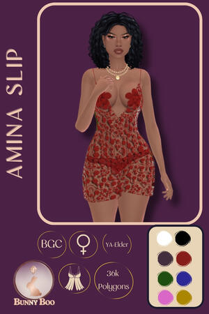 Amina Slip Dress